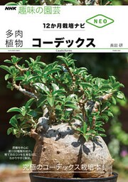 コーデックス