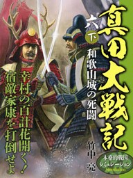 真田大戦記　六　下　和歌山城の死闘