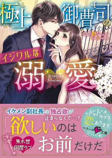 極上御曹司のイジワルな溺愛