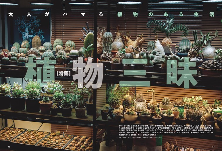 大人がハマる植物のある生活 植物三昧