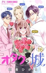 オタクの城【マイクロ】（１６）