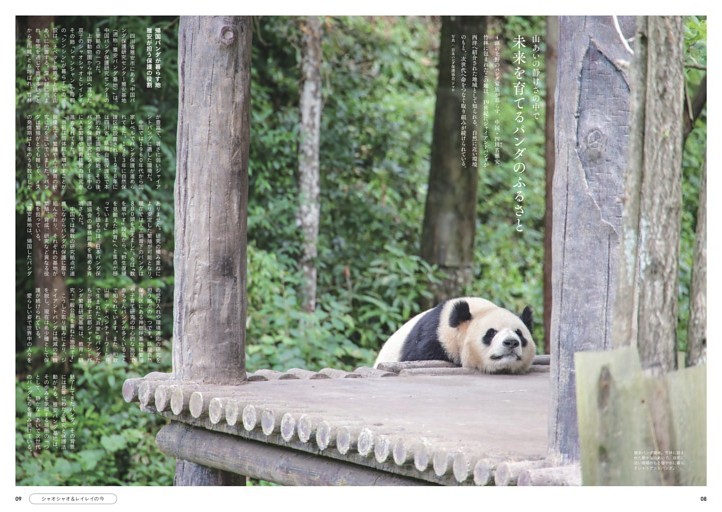 山あいの静けさの中で　未来を育てるパンダのふるさと