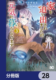 家を追い出されましたが、元気に暮らしています　～チートな魔法と前世知識で快適便利なセカンドライフ！～【分冊版】　28