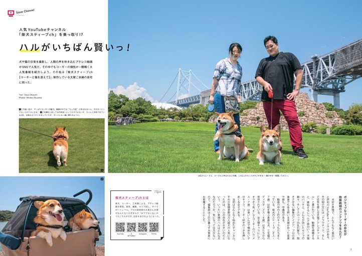 人気YouTubeチャンネル「柴犬スティーブch」を乗っ取り！？ハルがいちばん賢いっ！