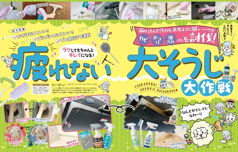 【総力特集】ラクしてもちゃんとキレイになる！ 疲れない大そうじ大作戦