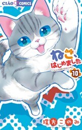 ねこ、はじめました（１０）
