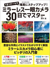 ミラーレス一眼カメラ30日でマスター