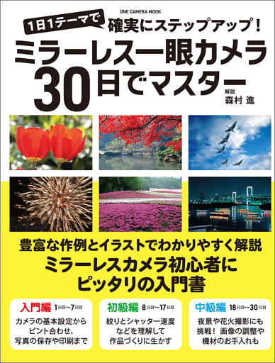ミラーレス一眼カメラ30日でマスター