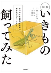 図鑑いきもの飼ってみた　カマキリを黄色い世界で育てたらどうなる？