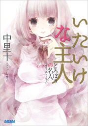 どろぼうの名人2サイドストーリー　いたいけな主人