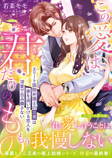 <華麗なる三兄弟の極上結婚シリーズ>この愛は君だけのもの～エリート国際弁護士の三男は夢を追いかける恋人を深愛で包み離さない～