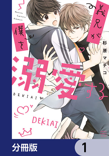 義兄が僕を溺愛する【分冊版】