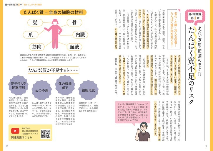 たんぱく質不足のリスク