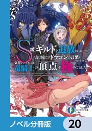 Ｓ級ギルドを追放されたけど、実は俺だけドラゴンの言葉がわかるので、気付いたときには竜騎士の頂点を極めてました。【ノベル分冊版】　20