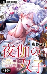 夜伽の双子―贄姫は二人の王子に愛される―【マイクロ】（３４）