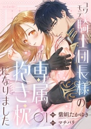 コワモテ騎士団長様の専属抱き枕になりました（１）