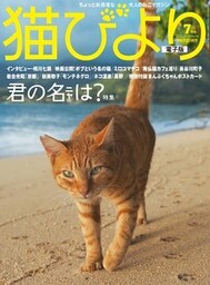 猫びより2017年7月号　Vol.94