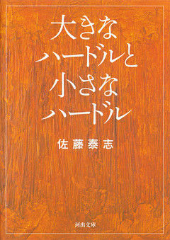 大きなハードルと小さなハードル