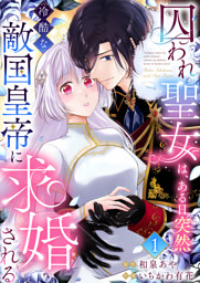 君はシンデレラ～孤高な御曹司が絶え間なく愛を注ぐ理由～【財閥御曹司シリーズ】 1 comic Berry's君はシンデレラ～孤高な御曹司が絶え間なく愛を