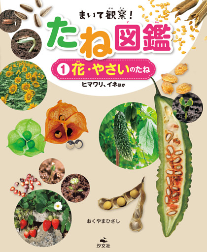 まいて観察！ たね図鑑