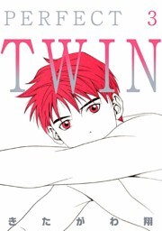 PERFECT TWIN 3巻