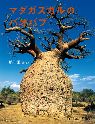 マダガスカルのバオバブ