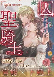 囚われの聖騎士 1