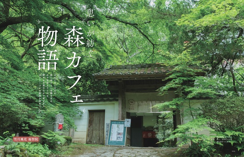 思いが紡ぐ森カフェ物語