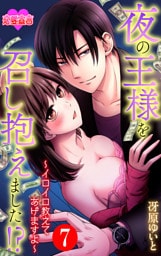夜の王様を召し抱えました！？～イロイロ教えてあげますよ～ 7