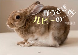 野うさぎルビーの一生