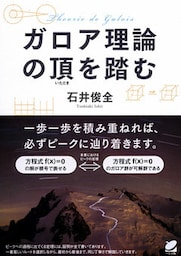 ガロア理論の頂を踏む