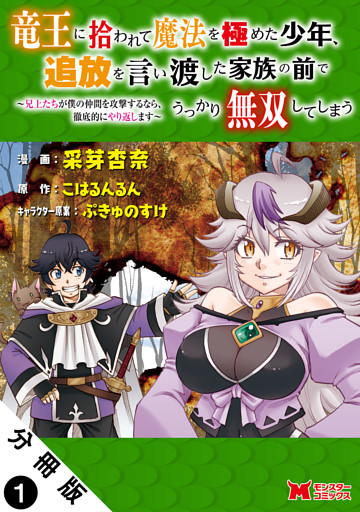 竜王に拾われて魔法を極めた少年、追放を言い渡した家族の前でうっかり無双してしまう～兄上たちが僕の仲間を攻撃するなら、徹底的にやり返します～（コミック） 分冊版