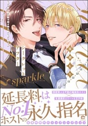シークレットアフターsparkle【電子限定かきおろし漫画付】