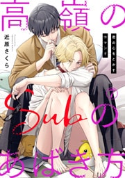 高嶺のSubのあばき方～君の心をとかすコマンド～7