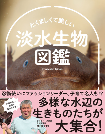 たくましくて美しい　淡水生物図鑑