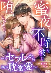 蜜夜、不埒な彼に堕とされる～セフレから始まる耽溺愛～
