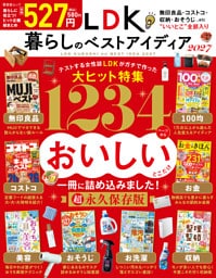 晋遊舎ムック　LDK暮らしのベストアイディア2027