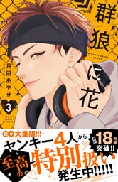 群狼に花（３）