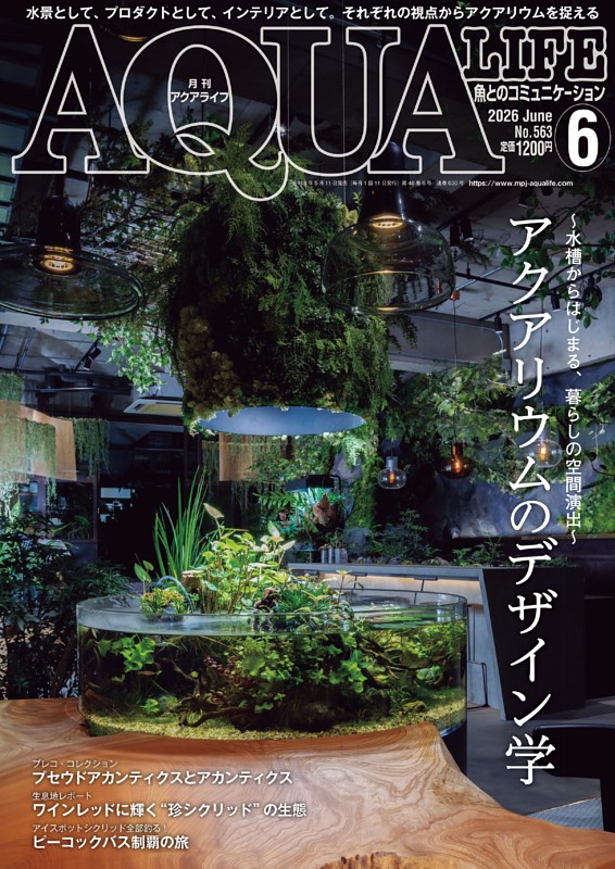 アクアライフ　まとめ アクアライフ 6月号 | dマガジンなら人気雑誌が読み放題！