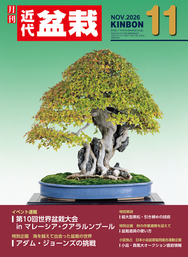 近代盆栽