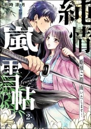 純情嵐雪帖 姫様ご指南いたします！（分冊版）　【第2話】