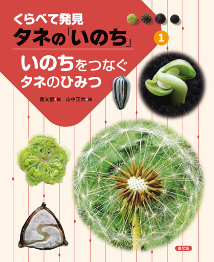 くらべて発見 タネの「いのち」