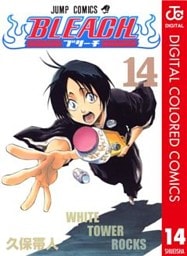 BLEACH カラー版 14