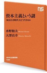 資本主義という謎 「成長なき時代」をどう生きるか