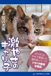 激やせのキャリ子