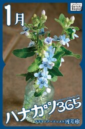 ハナカツ365 [1月]