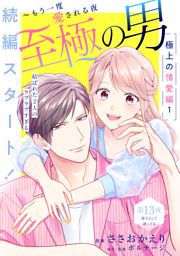 至極の男～もう一度愛される夜（3） | ささおかえり