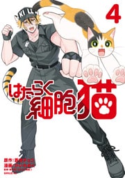 はたらく細胞　猫（４）