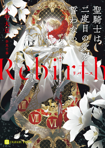Rebirth～聖騎士は二度目の愛を誓わない～