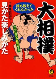 大相撲　誰も教えてくれなかった見かた楽しみかた　ツウになれる観戦ガイド